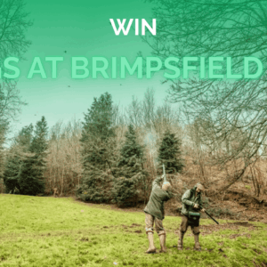 WIN 8 PEGS AT BRIMPSFIELD PARK!