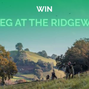 WIN 1 PEG AT THE RIDGEWAY!